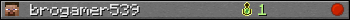 brogamer539 userbar 350x20