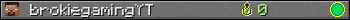 brokiegamingYT userbar 350x20