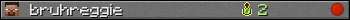 bruhreggie userbar 350x20