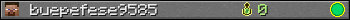 buepefese9585 userbar 350x20