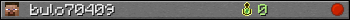 bulo70409 userbar 350x20
