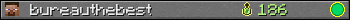 bureauthebest userbar 350x20