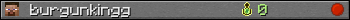 burgunkingg userbar 350x20