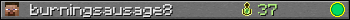 burningsausage8 userbar 350x20