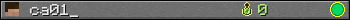 ca01_ userbar 350x20