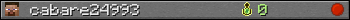 cabare24993 userbar 350x20