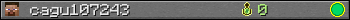 cagu107243 userbar 350x20