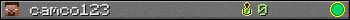 camco123 userbar 350x20
