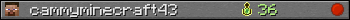 cammyminecraft43 userbar 350x20