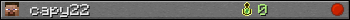 capy22 userbar 350x20
