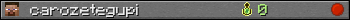 carozetegupi userbar 350x20
