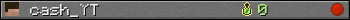 cash_YT userbar 350x20