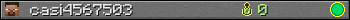 casi4567503 userbar 350x20
