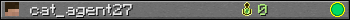 cat_agent27 userbar 350x20