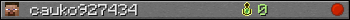 cauko927434 userbar 350x20