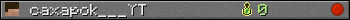 caxapok___YT userbar 350x20