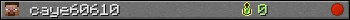 caye60610 userbar 350x20