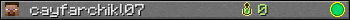 cayfarchikl07 userbar 350x20