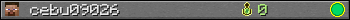 cebu09026 userbar 350x20