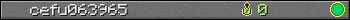 cefu063965 userbar 350x20