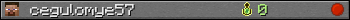 cegulomye57 userbar 350x20