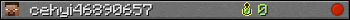 cehyi46890657 userbar 350x20