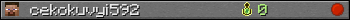 cekokuvyi592 userbar 350x20