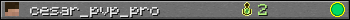 cesar_pvp_pro userbar 350x20