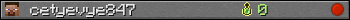cetyevye847 userbar 350x20