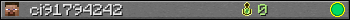 ci91794242 userbar 350x20