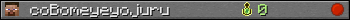 coBomeyeyojuru userbar 350x20