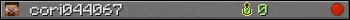 cori044067 userbar 350x20