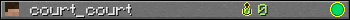 court_court userbar 350x20