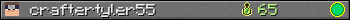 craftertyler55 userbar 350x20