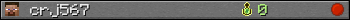 crj567 userbar 350x20