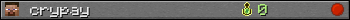 crypay userbar 350x20