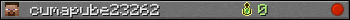 cumapube23262 userbar 350x20
