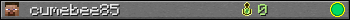 cumebee85 userbar 350x20
