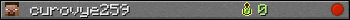 curovye259 userbar 350x20