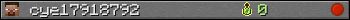 cye17918792 userbar 350x20