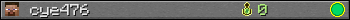 cye476 userbar 350x20