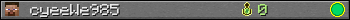 cyeeWe985 userbar 350x20