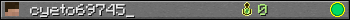 cyeto69745_ userbar 350x20