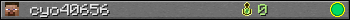 cyo40656 userbar 350x20