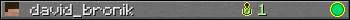 david_bronik userbar 350x20