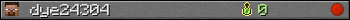 dye24304 userbar 350x20