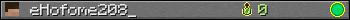 eHofome208_ userbar 350x20