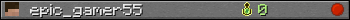 epic_gamer55 userbar 350x20