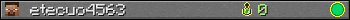 etecuo4563 userbar 350x20