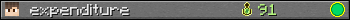 Benutzerleisten 350x20 für expenditure